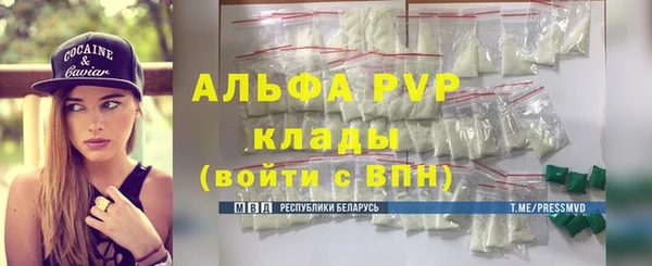 PSILOCYBIN Кукмор