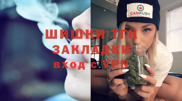 PSILOCYBIN Кукмор