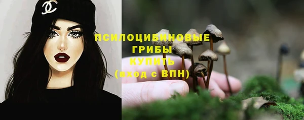 дживик Куйбышев