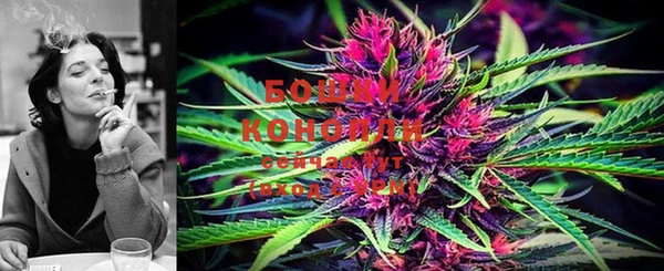 PSILOCYBIN Кукмор
