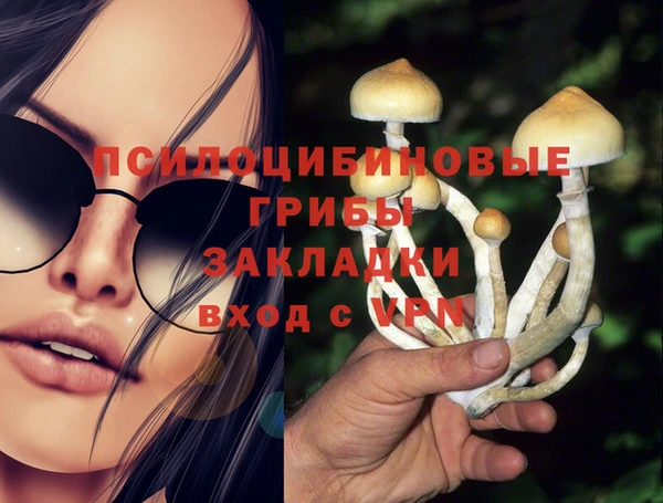 PSILOCYBIN Кукмор