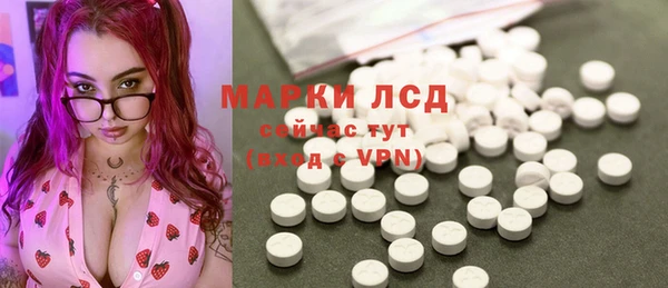 PSILOCYBIN Кукмор