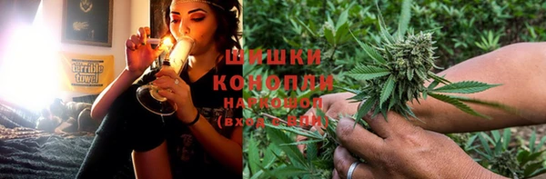 PSILOCYBIN Кукмор
