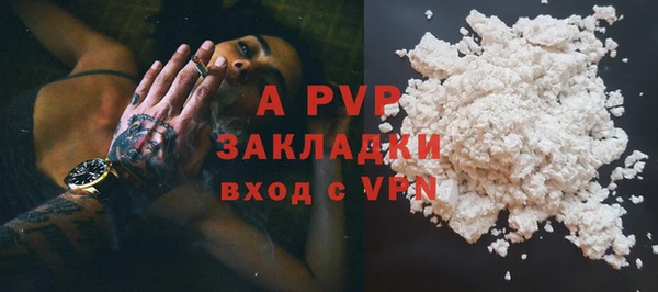 PSILOCYBIN Кукмор