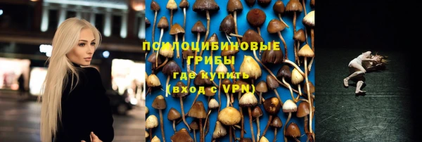 дживик Куйбышев